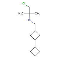 C13H24ClN