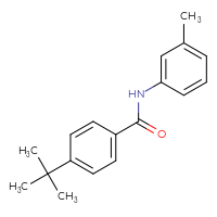 Chemical structure of 4-tert-butyl-N-(3-methylphenyl)benzamide - CSSB00046250252