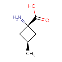 C6H11NO2