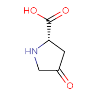 C5H7NO3