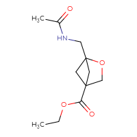 Chemical structure of ethyl 1-(acetamidomethyl)-2-oxabicyclo[2.1.1]hexane-4-carboxylate - CSSB01191034195