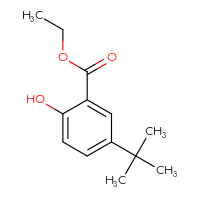 Chemical structure of ethyl 5-tert-butyl-2-hydroxybenzoate - CSSB00010164469