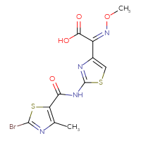 Chemical structure of (2Z)-2-[2-(2-bromo-4-methyl-1,3-thiazole-5-amido)-1,3-thiazol-4-yl]-2-(methoxyimino)acetic acid - CSSB21531607628