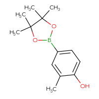 C13H19BO3