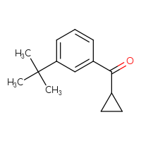 Chemical structure of (3-tert-butylphenyl)(cyclopropyl)methanone - CSSB00017830872