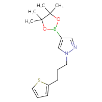 Chemical structure of 4-(4,4,5,5-tetramethyl-1,3,2-dioxaborolan-2-yl)-1-[3-(thiophen-2-yl)propyl]-1H-pyrazole - CSSB07189894059