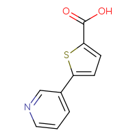 Chemical structure of 5-(pyridin-3-yl)thiophene-2-carboxylic acid - CSSB00011246608