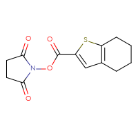Chemical structure of 2,5-dioxopyrrolidin-1-yl 4,5,6,7-tetrahydro-1-benzothiophene-2-carboxylate - CSSB02203802370