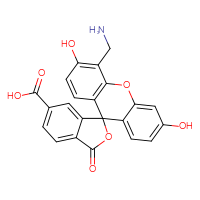 Chemical structure of 4'-(aminomethyl)-3',6'-dihydroxy-3-oxo-3H-spiro[2-benzofuran-1,9'-xanthene]-6-carboxylic acid - CSSB14823718308