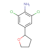 C10H11Cl2NO