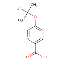 Chemical structure of 5-(tert-butoxy)pyridine-2-carboxylic acid - CSSB00000734304