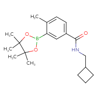 Chemical structure of N-(cyclobutylmethyl)-4-methyl-3-(4,4,5,5-tetramethyl-1,3,2-dioxaborolan-2-yl)benzamide - CSSB00248248856
