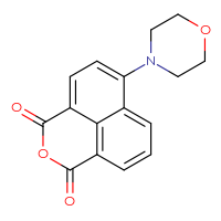Chemical structure of 8-(morpholin-4-yl)-3-oxatricyclo[7.3.1.0⁵,¹³]trideca-1(13),5,7,9,11-pentaene-2,4-dione - CSSB00132677621