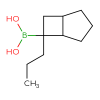 C10H19BO2
