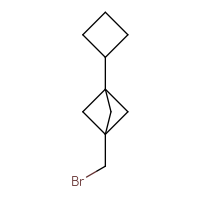 C10H15Br