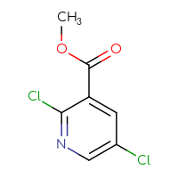 C7H5Cl2NO2