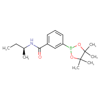 Chemical structure of N-[(2S)-butan-2-yl]-3-(4,4,5,5-tetramethyl-1,3,2-dioxaborolan-2-yl)benzamide - CSSB02519735934