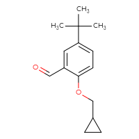 Chemical structure of 5-tert-butyl-2-(cyclopropylmethoxy)benzaldehyde - CSSB00025746149