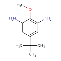 Chemical structure of 5-tert-butyl-2-methoxybenzene-1,3-diamine - CSSB00000067265