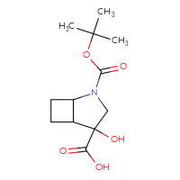 C12H19NO5