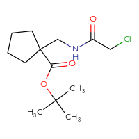 Chemical structure of tert-butyl 1-[(2-chloroacetamido)methyl]cyclopentane-1-carboxylate - CSSB01674041780