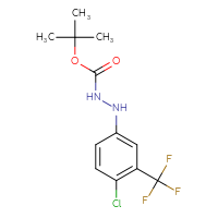 Chemical structure of N'-[4-chloro-3-(trifluoromethyl)phenyl](tert-butoxy)carbohydrazide - CSSB21331813338