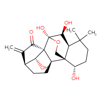 Chemical structure of (1R,2R,5S,8S,9S,10S,11S,15S,18R)-9,10,15,18-tetrahydroxy-12,12-dimethyl-6-methylidene-17-oxapentacyclo[7.6.2.1⁵,⁸.0¹,¹¹.0²,⁸]octadecan-7-one - CSSB00016992657