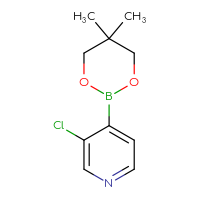 Chemical structure of 3-chloro-4-(5,5-dimethyl-1,3,2-dioxaborinan-2-yl)pyridine - CSSB00000040226