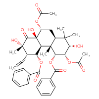 Chemical structure of (2S,3S,4R,4aS,4bS,5R,6S,7S,8aR,9R,10aS)-3,9-bis(acetyloxy)-5-(benzoyloxy)-6-ethenyl-2,7,8a-trihydroxy-1,1,4a,7-tetramethyl-8-oxo-tetradecahydrophenanthren-4-yl benzoate - CSSB00161002470