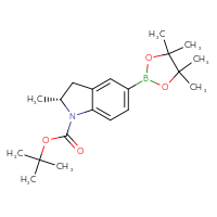 Chemical structure of tert-butyl (2R)-2-methyl-5-(4,4,5,5-tetramethyl-1,3,2-dioxaborolan-2-yl)-2,3-dihydro-1H-indole-1-carboxylate - CSSB02495364931