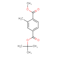 Chemical structure of 4-tert-butyl 1-methyl 2-methylbenzene-1,4-dicarboxylate - CSSB06259076574