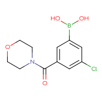 Chemical structure of [3-chloro-5-(morpholine-4-carbonyl)phenyl]boronic acid - CSSB00020605173