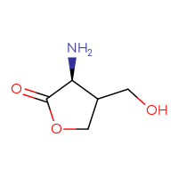 C5H9NO3