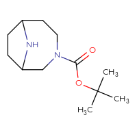 Chemical structure of tert-butyl 3,9-diazabicyclo[4.2.1]nonane-3-carboxylate - CSSB00000055079