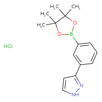 Chemical structure of 3-[3-(4,4,5,5-tetramethyl-1,3,2-dioxaborolan-2-yl)phenyl]-1H-pyrazole hydrochloride - CSSB00138438105