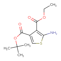 Chemical structure of 4-tert-butyl 3-ethyl 2-aminothiophene-3,4-dicarboxylate - CSSB21298174727
