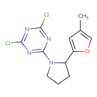 Chemical structure of 2,4-dichloro-6-[2-(4-methylfuran-2-yl)pyrrolidin-1-yl]-1,3,5-triazine - CSSB21332058786