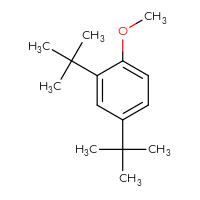 Chemical structure of 2,4-di-tert-butyl-1-methoxybenzene - CSSB00010769561