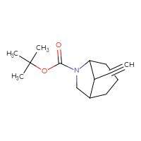 Chemical structure of tert-butyl 8-ethynyl-6-azabicyclo[3.2.1]octane-6-carboxylate - CSSB00103147843