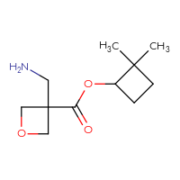 C11H19NO3