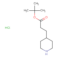 Chemical structure of tert-butyl 3-(piperidin-4-yl)propanoate hydrochloride - CSSB14802770212