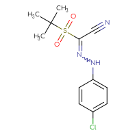 Chemical structure of N-(4-chlorophenyl)-1-(2-methylpropane-2-sulfonyl)methanecarbohydrazonoyl cyanide - CSSB02125604366