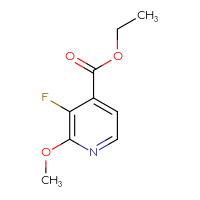 Chemical structure of ethyl 3-fluoro-2-methoxypyridine-4-carboxylate - CSSB00012183789