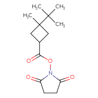 Chemical structure of 2,5-dioxopyrrolidin-1-yl 3-tert-butyl-3-methylcyclobutane-1-carboxylate - CSSB20269989542