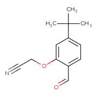 Chemical structure of 2-(5-tert-butyl-2-formylphenoxy)acetonitrile - CSSB01585013648