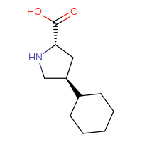 C11H19NO2