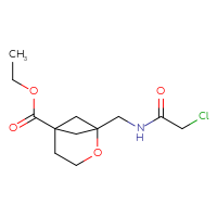 Chemical structure of ethyl 1-[(2-chloroacetamido)methyl]-2-oxabicyclo[3.1.1]heptane-5-carboxylate - CSSB01950695339