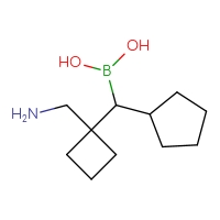 C11H22BNO2