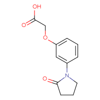 Chemical structure of 2-[3-(2-oxopyrrolidin-1-yl)phenoxy]acetic acid - CSSB00000272378