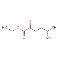 Chemical structure of ethyl 5-methyl-2-oxohexanoate - CSSB00000104865